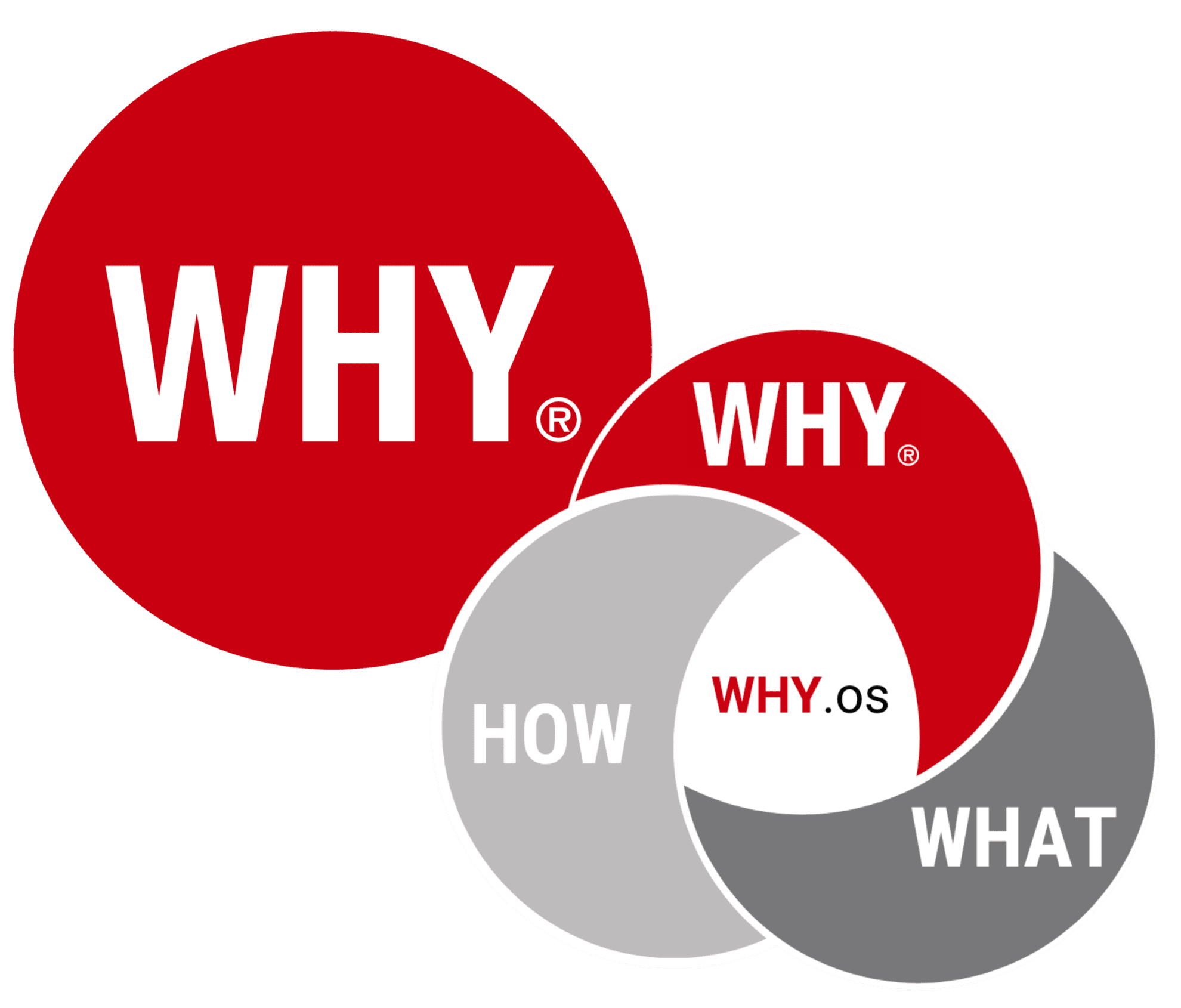 why-in-life-why-institute