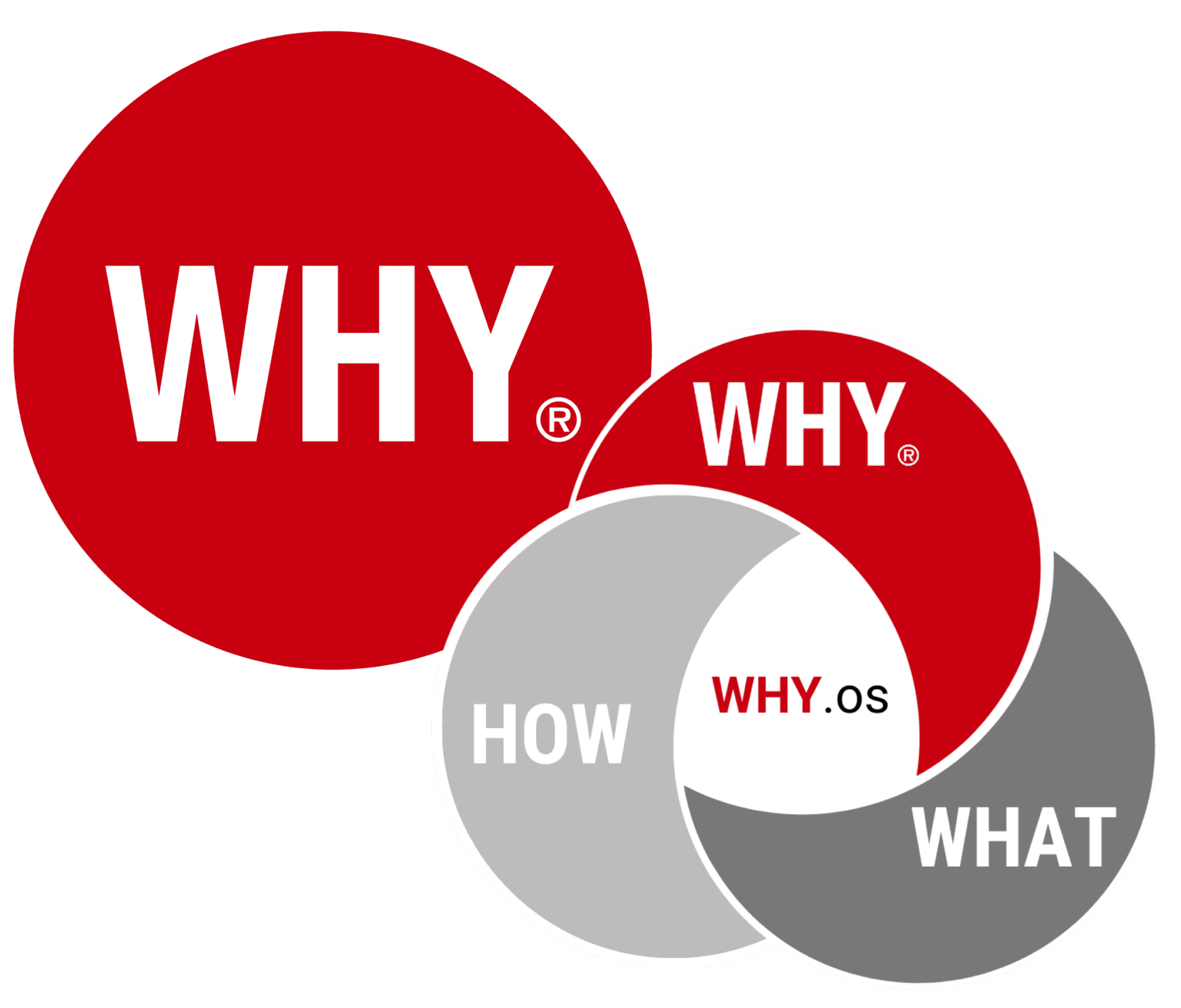 Home - WHY Institute